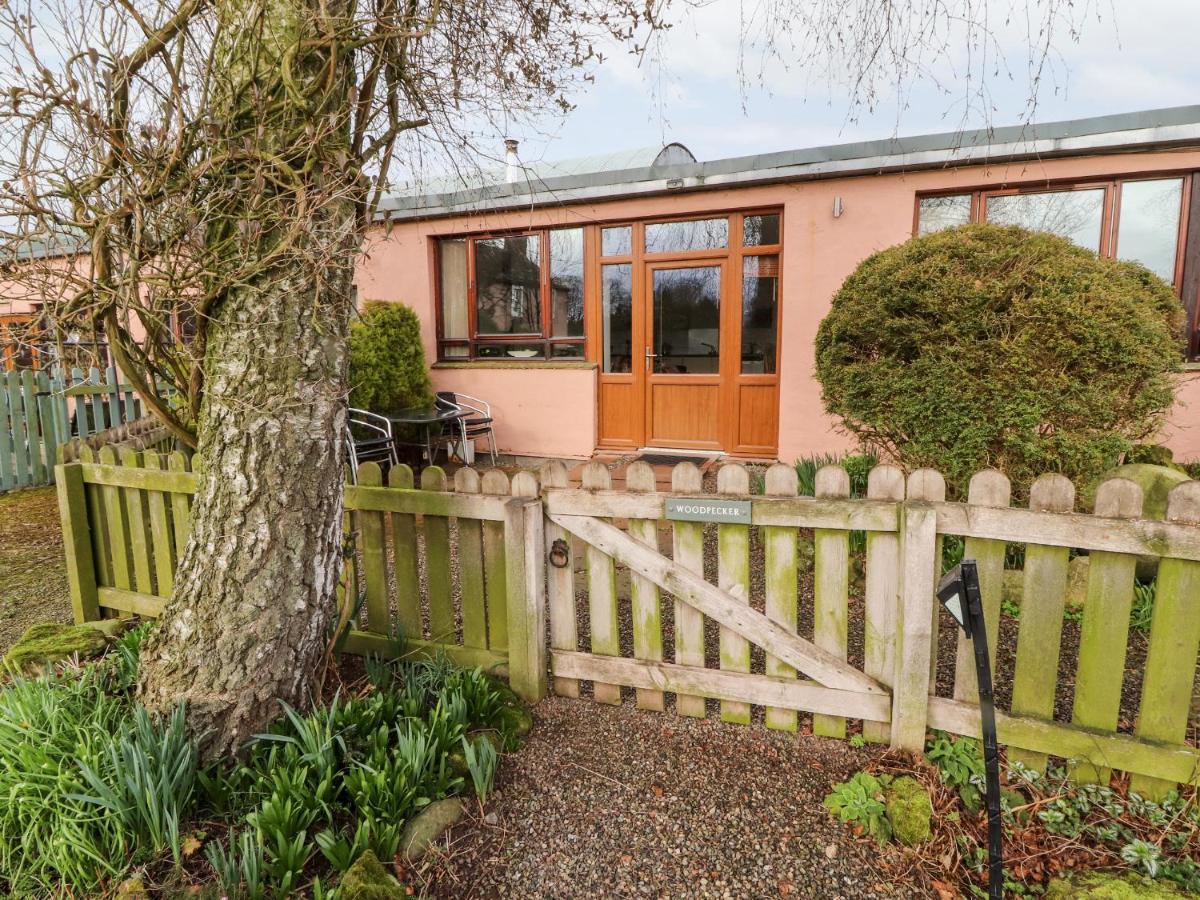 Woodpecker Holiday home *